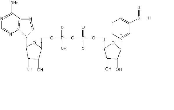 d37bada92ce61f7bdac760a6846aeb03_Ald-NAD-600x379.jpg